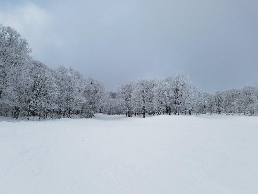 Ikenotaira Onsen Ski Resort景点图片