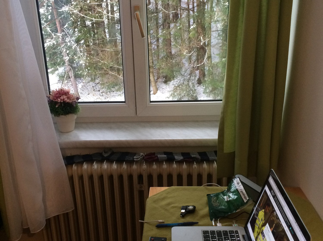 Bayrhammer Pension主图