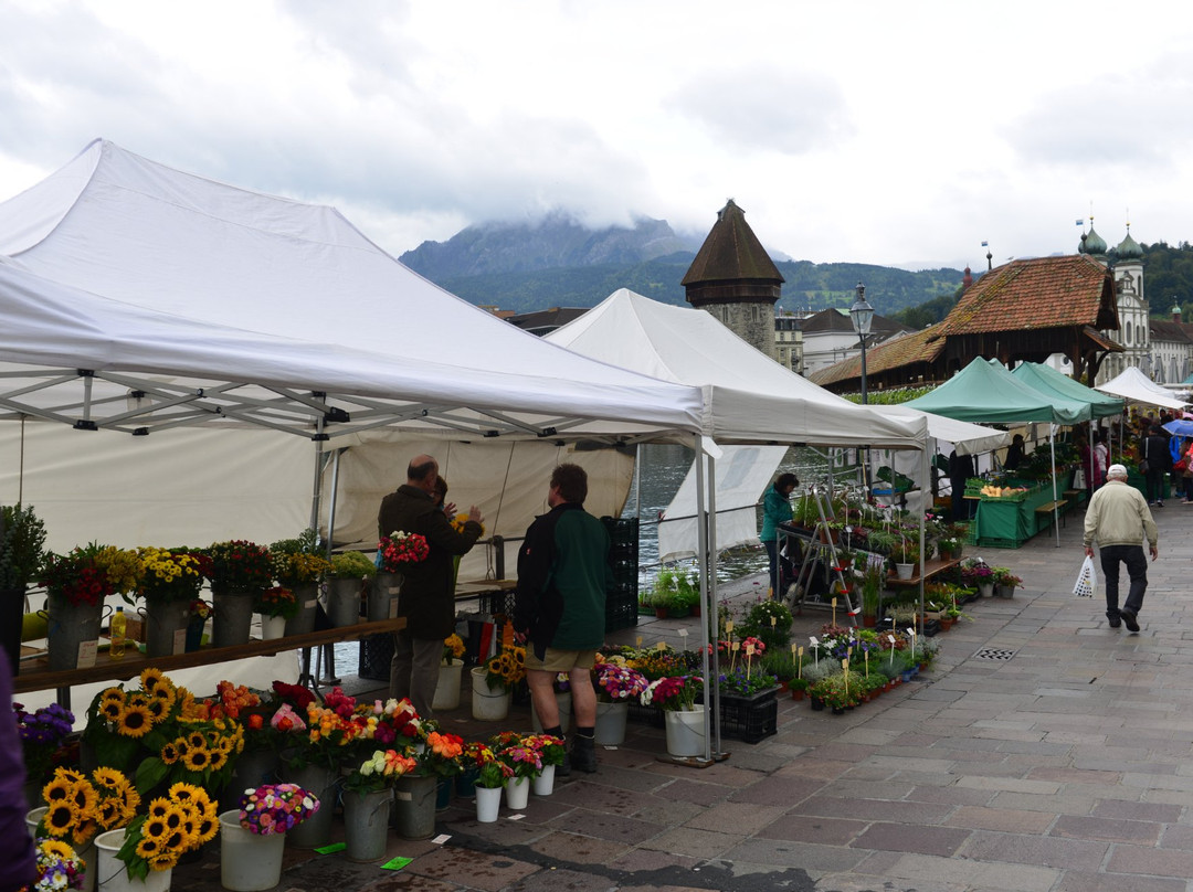 Luzerner Wochenmarkt景点图片