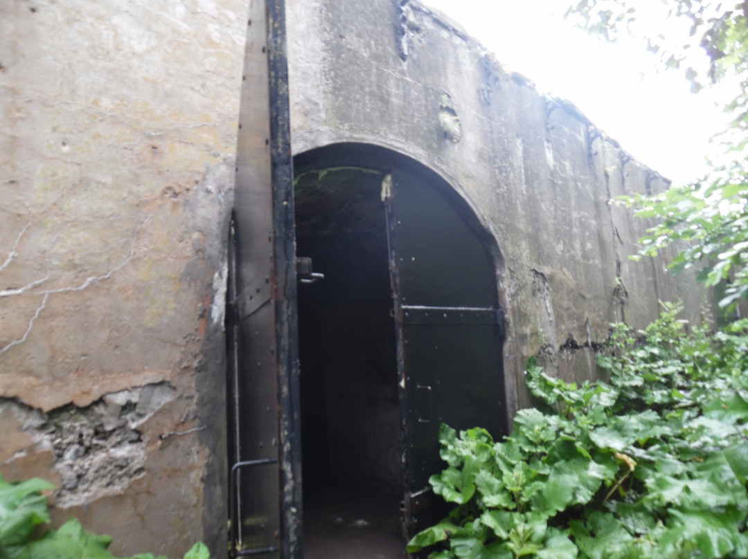 Fort #7 named after Tsarevich Alexey景点图片