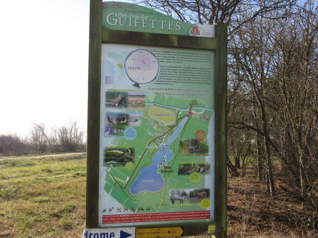Plan d'Eaux des Guifettes景点图片
