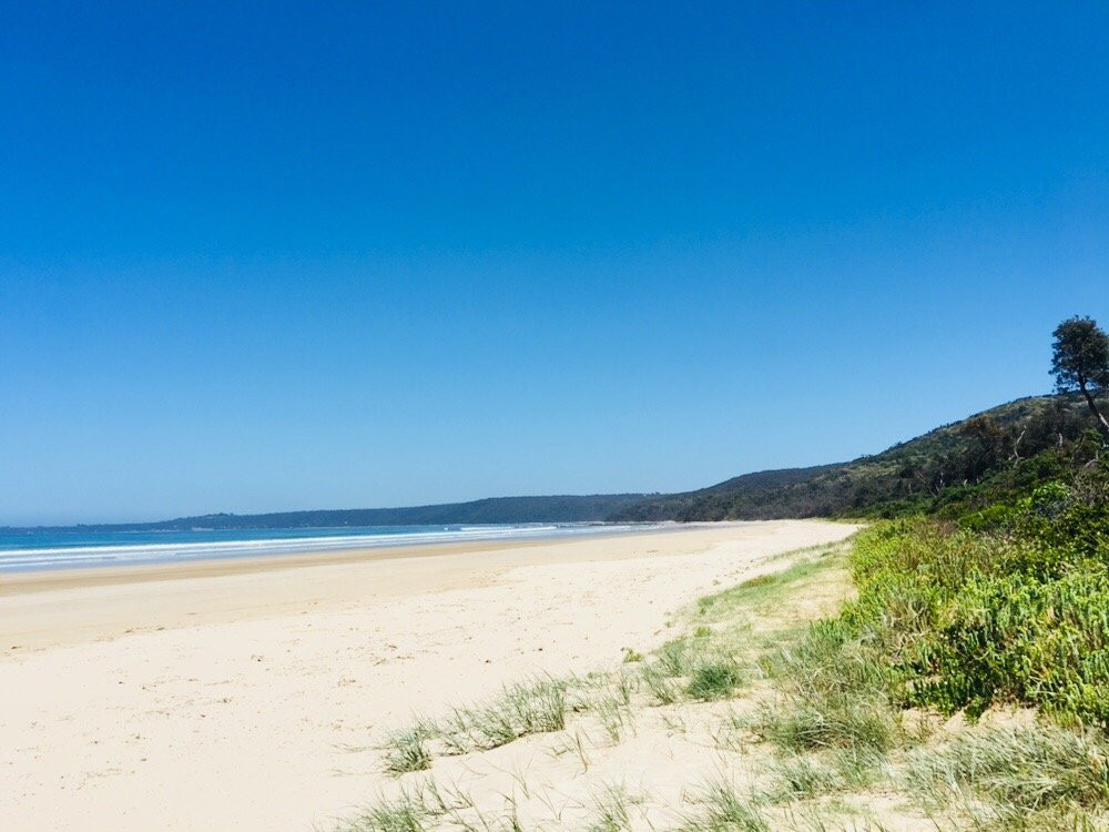 Waratah Bay Beach-Waratah Bay必去景点