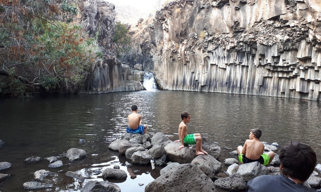Meshushim Stream Nature Reserve-Had Nes必去景点