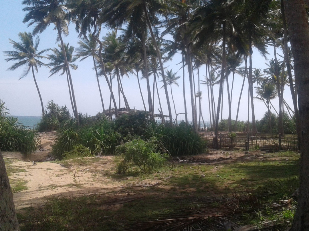 Kahandamodara Beach景点图片