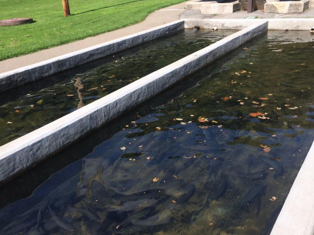 Powder Mills Park-Pittsford必去景点