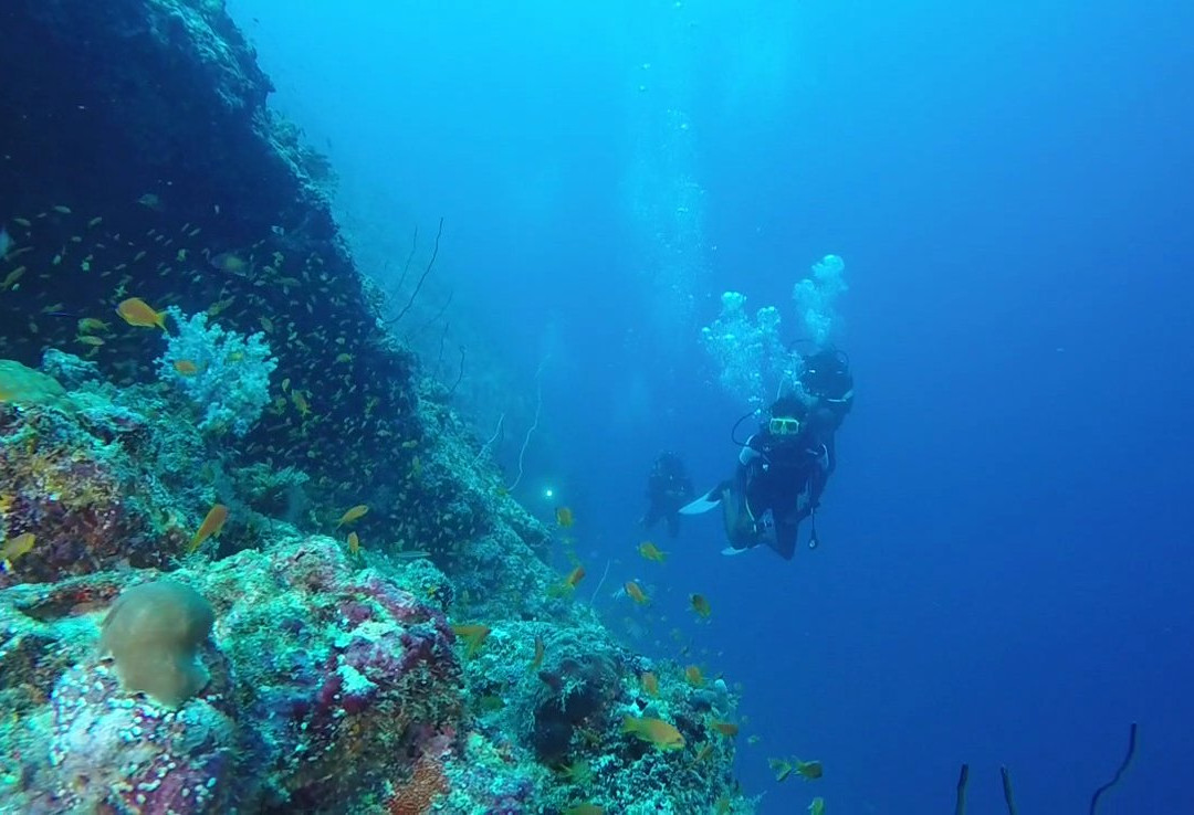 Fulidhoo Dive & Water Sports景点图片