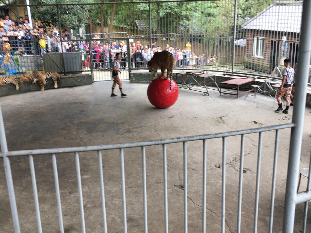 中南百草园-安吉县必去景点