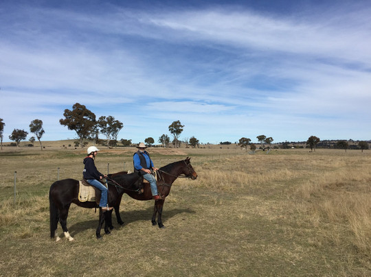 Harlow Park Horse Riding - Private Rides-Uralla必去景点