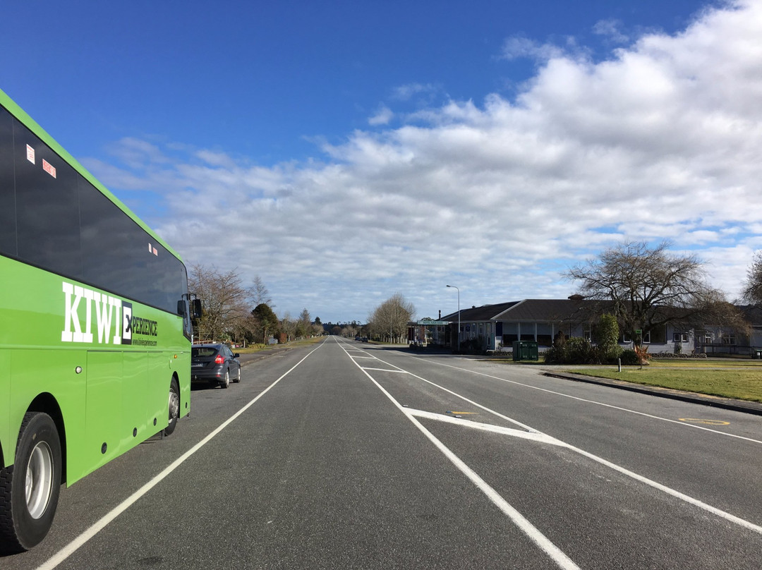 Kiwi Experience-奥克兰中心地区必去景点