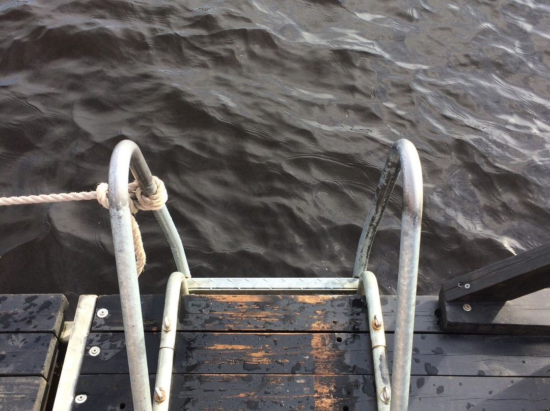 Kesän Sauna-奥卢必去景点