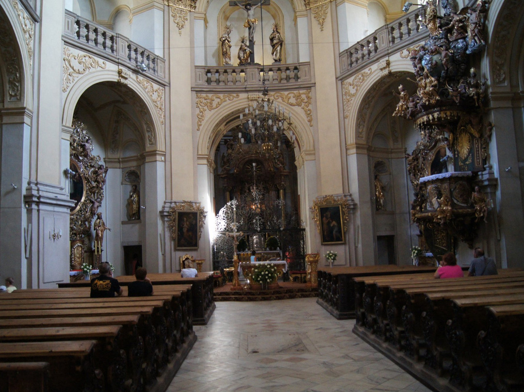 Visitation of Our Lady (Pilgrimage Church)景点图片