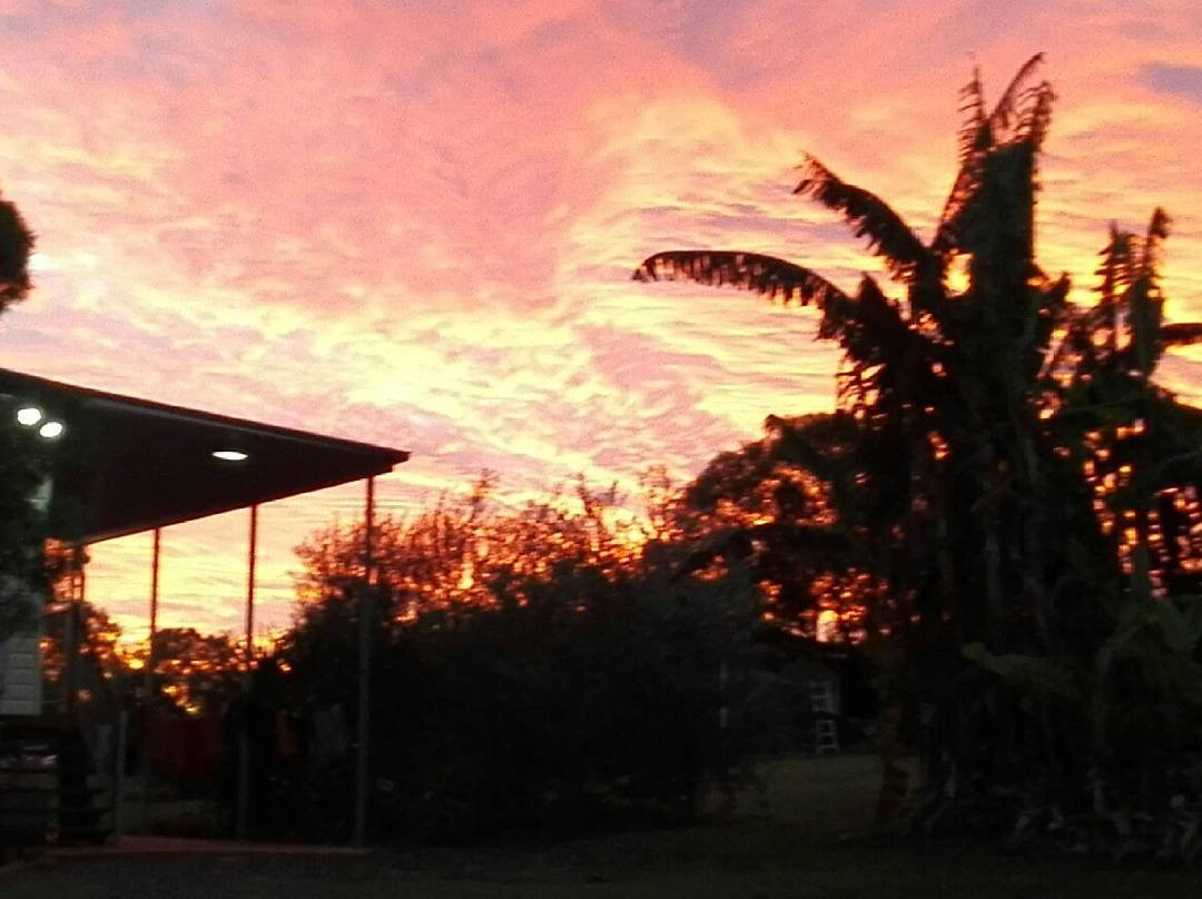 Childers Eco-lodge-Apple Tree Creek必去景点