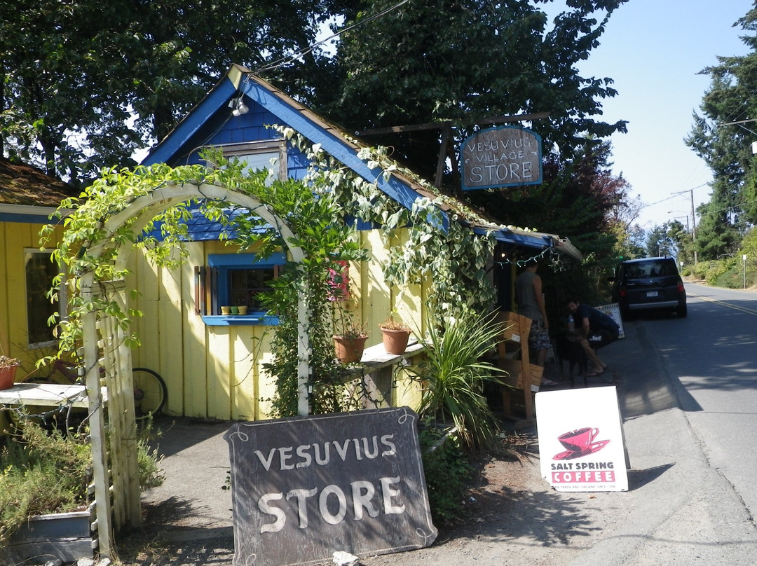 Vesuvius旅游攻略图片