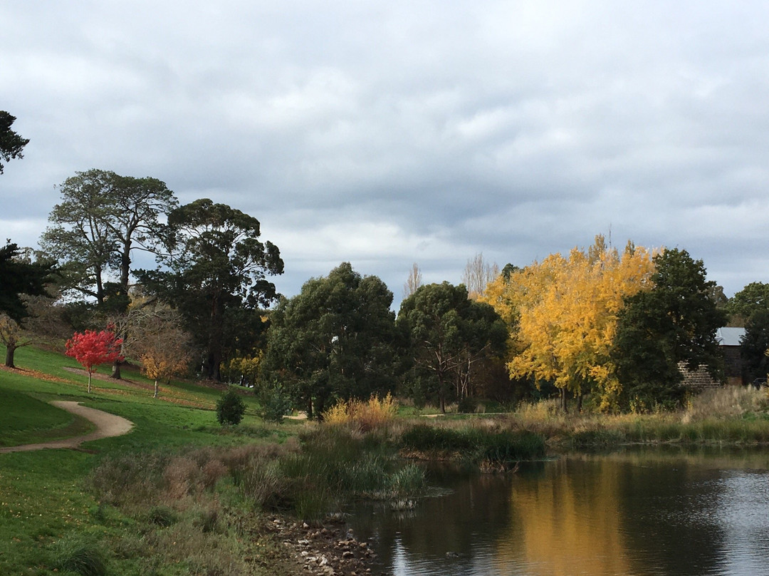 Buninyong Botanic Gardens-Buninyong必去景点