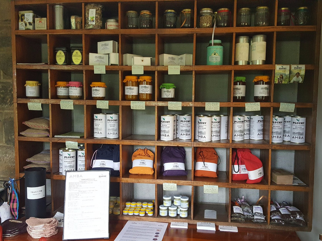 Amba Estate-班达拉维拉必去景点