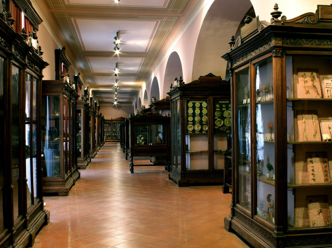 MUSA - Museo Universitario delle Scienze e delle Arti-那不勒斯必去景点