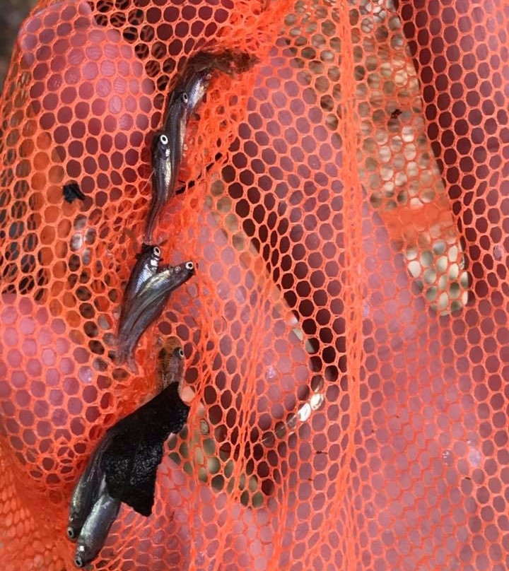 The Blue Hole Park-Salina必去景点