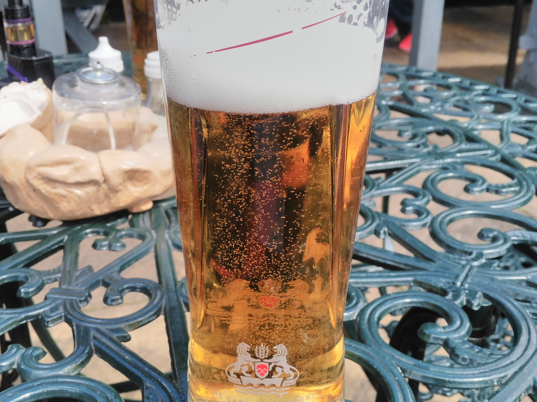 Cradley Heath餐馆和美食-Waterfall Inn