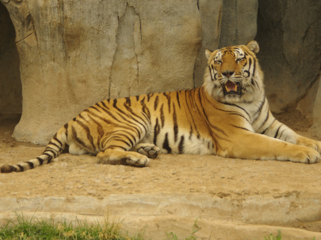 潍坊金宝游乐园-潍坊市必去景点