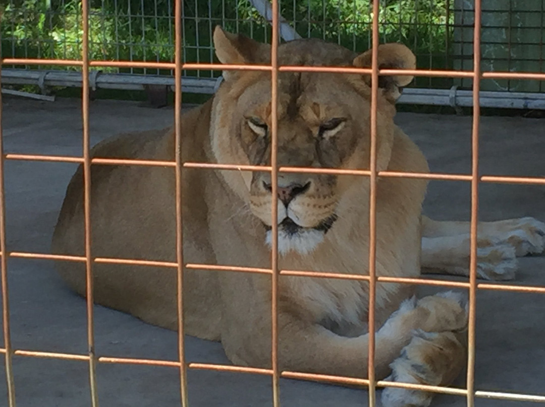 East Coast Exotic Animal Rescue-Fairfield必去景点