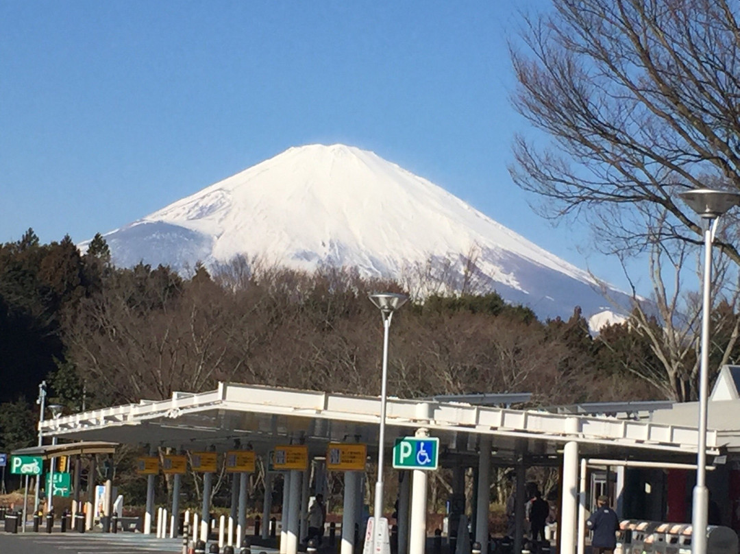 Snow Resort Yeti-裾野市必去景点