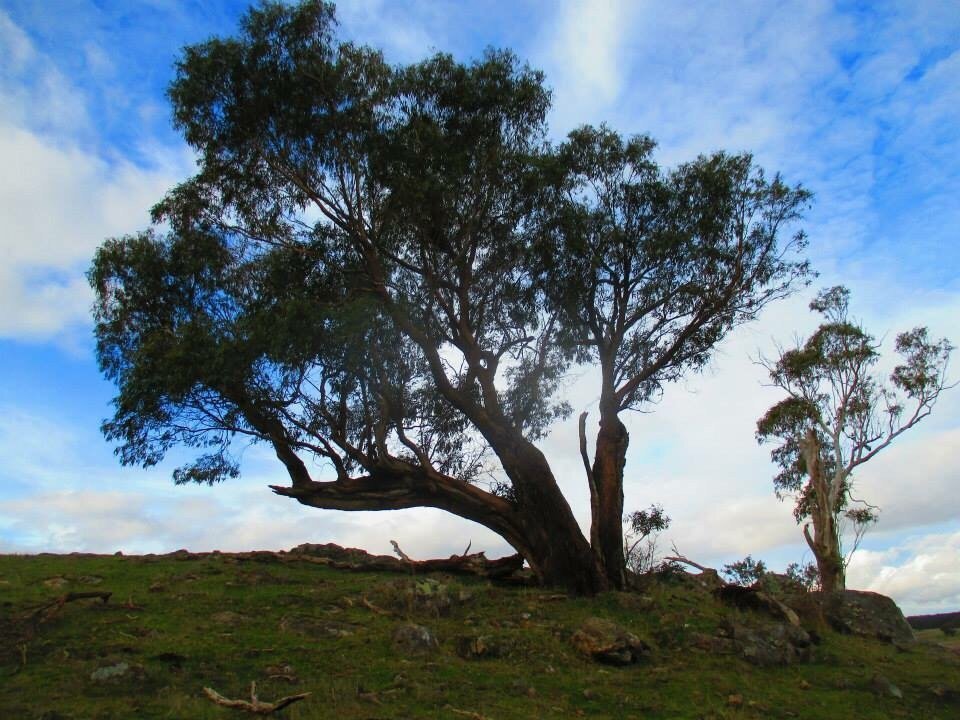 Upper Coliban Reservoir-Tylden必去景点