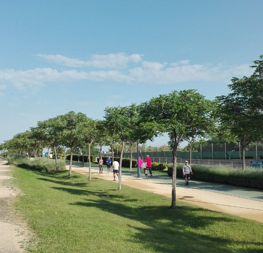 Parque de la Pulgosa景点图片