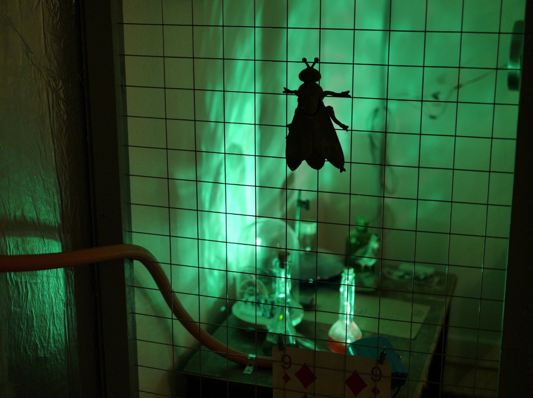 Raus! Escape Room景点图片