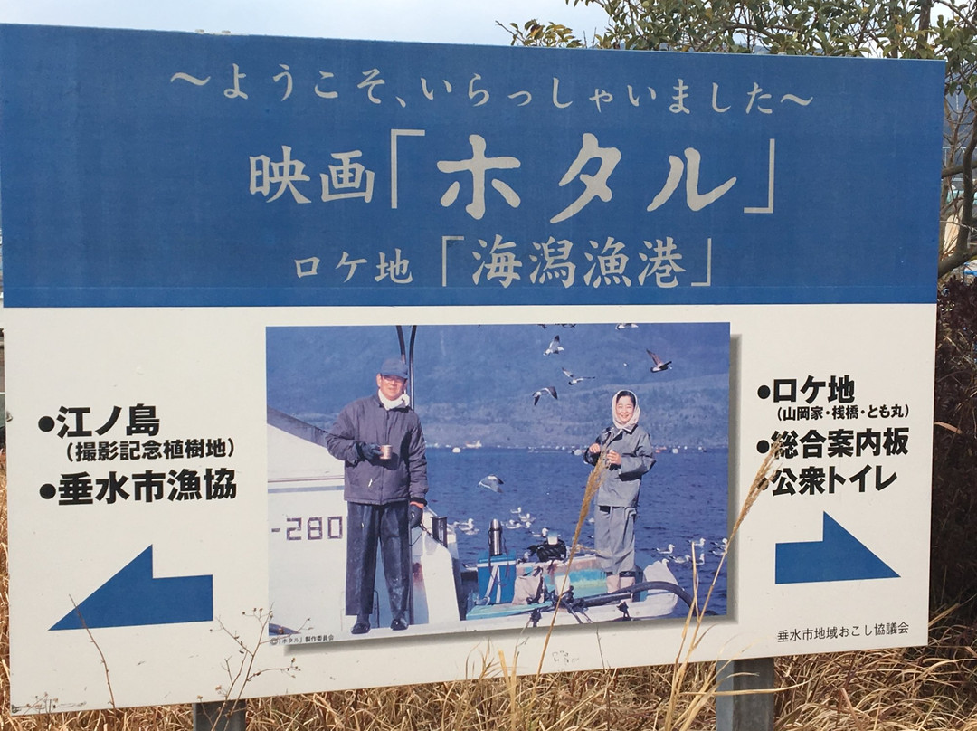 Kaigata Fishing Port-垂水市必去景点