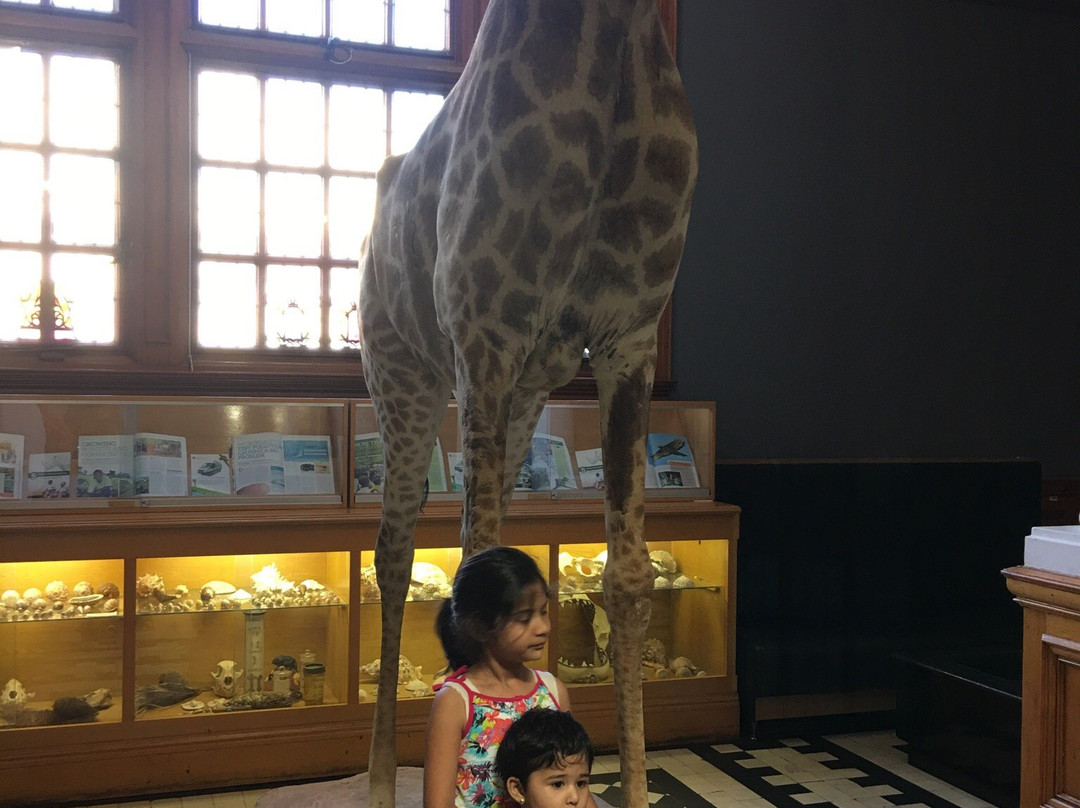 Natural Science Museum景点图片