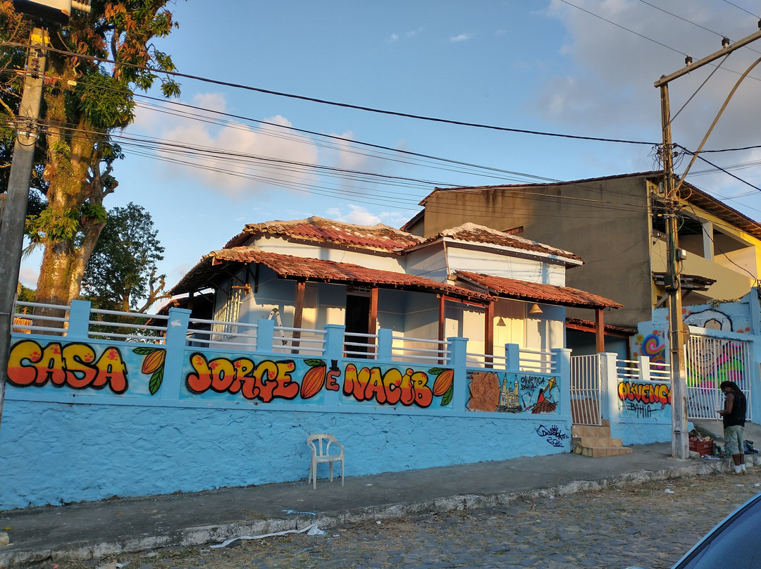 Casa de Cultura Jorge e Nacib景点图片