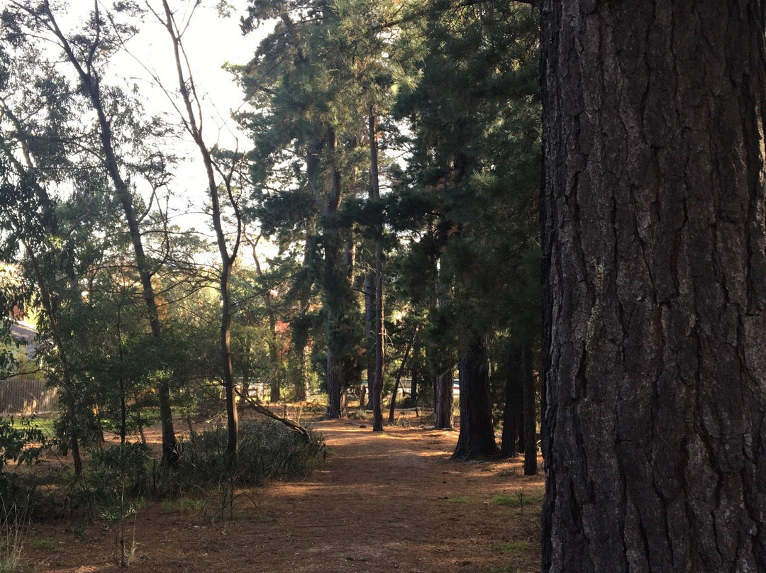 RE Gray Reserve-鲁纳沃丁必去景点