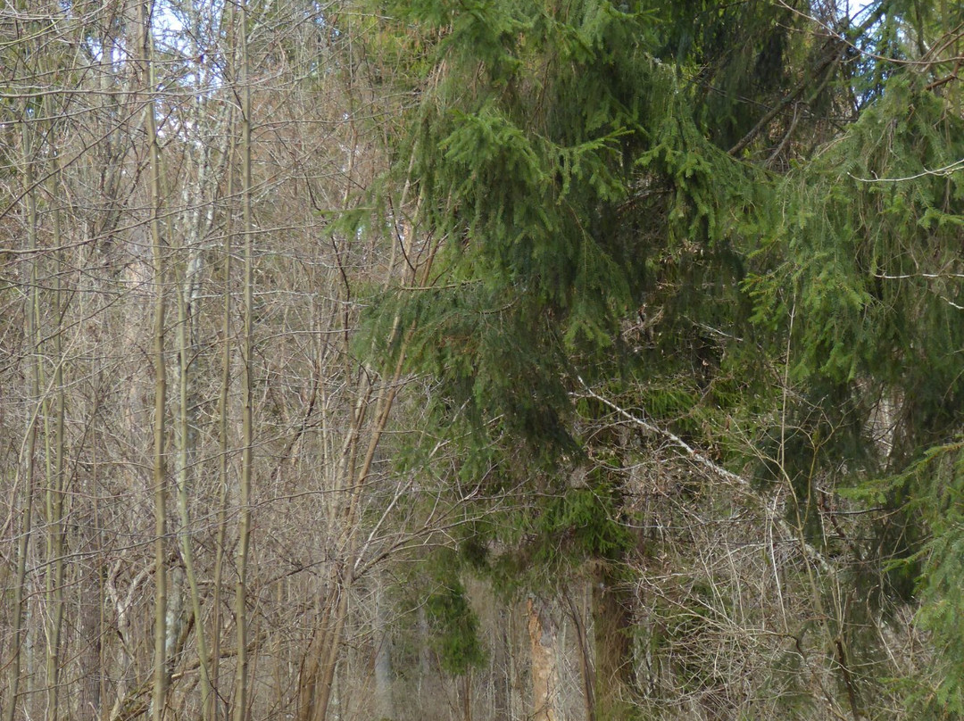 Liessaari Nature- & Wellness Trail-Lohja必去景点