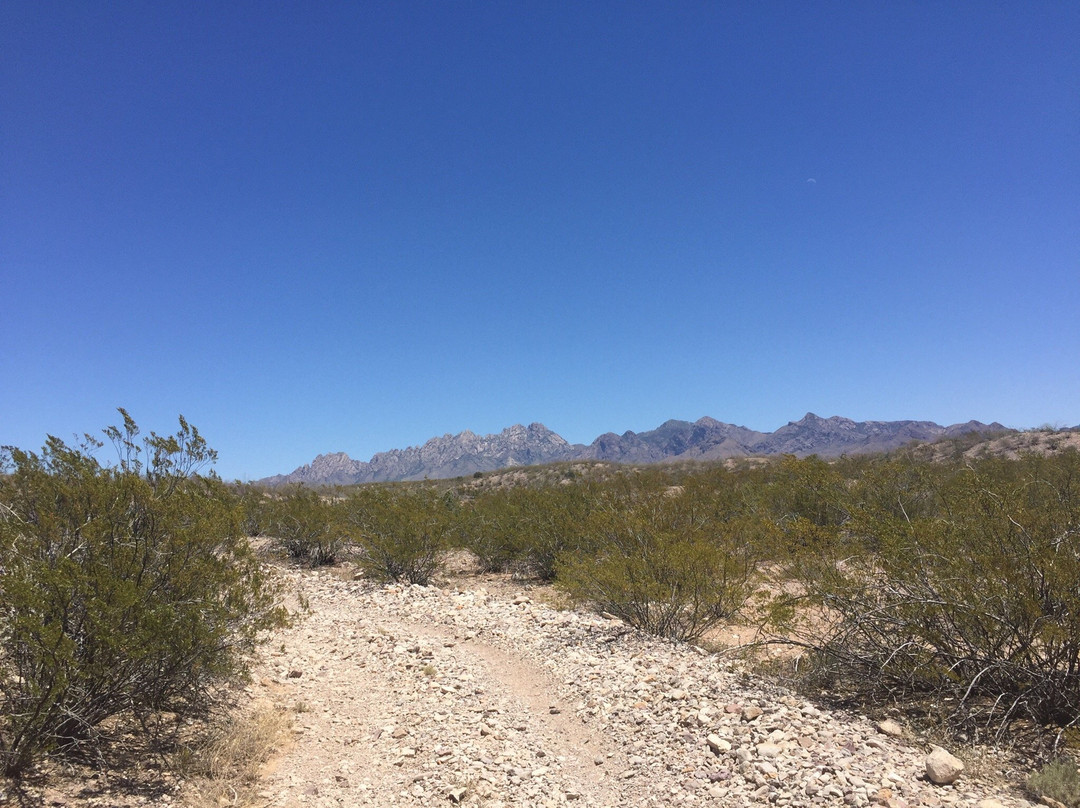 Tortugas Mountain-拉斯克鲁塞斯必去景点