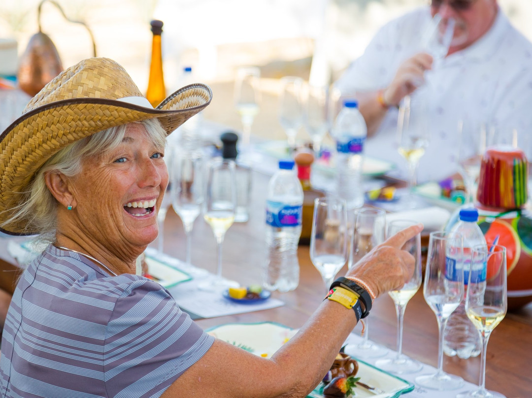 Tequila Tour Vidanta-新瓦雅塔必去景点