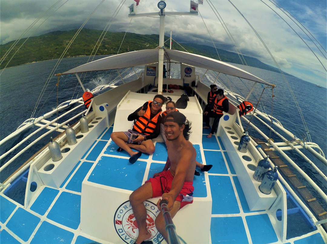 Travel South Adventures and Tours-莫阿尔博阿尔必去景点