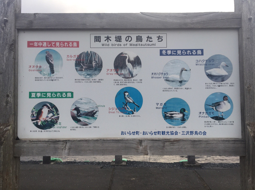 下田公园景点图片