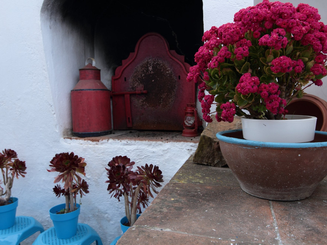 Horta do Padre