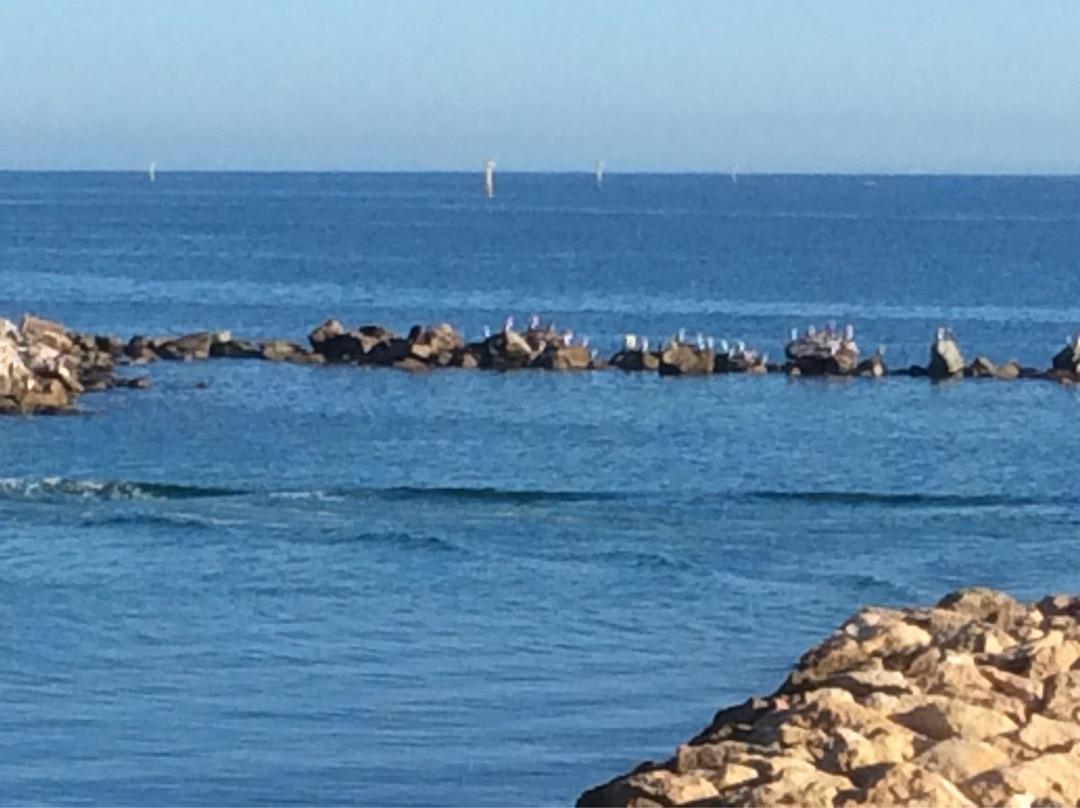 The Esplanade-杰拉尔顿必去景点