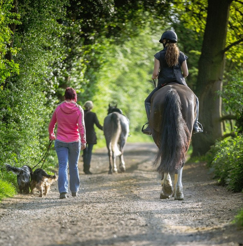 Mount Mascal Stables-伦敦必去景点