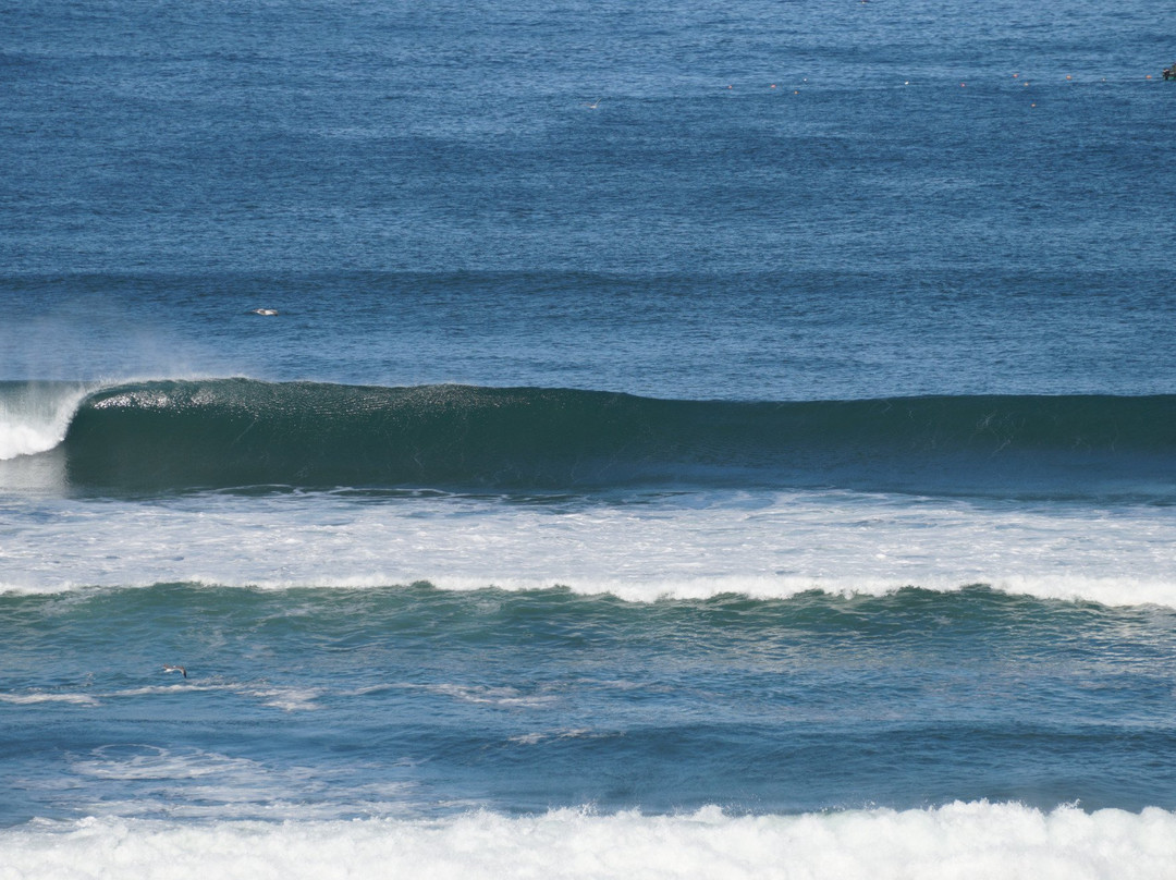 Sahara Surf-Taghazout必去景点