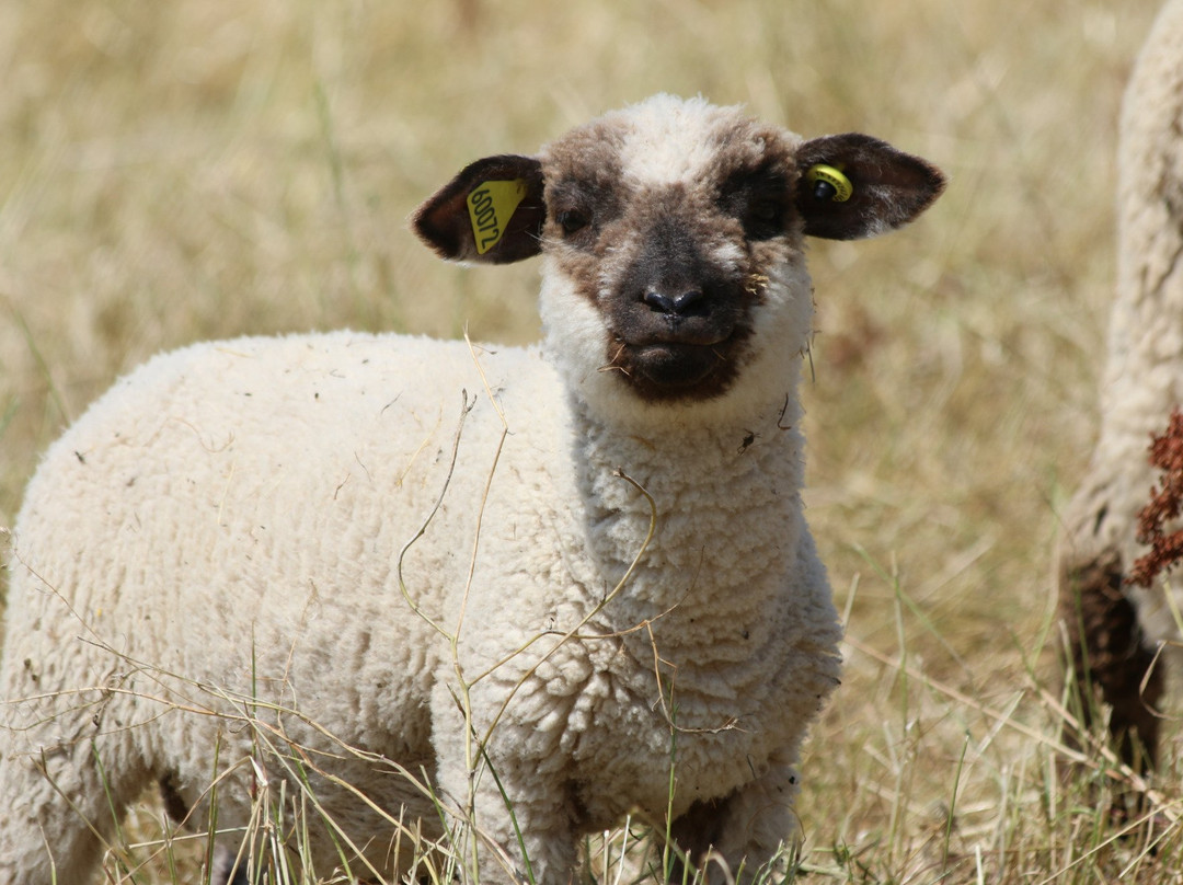 Autrucherie-Villiers-Saint-Georges必去景点