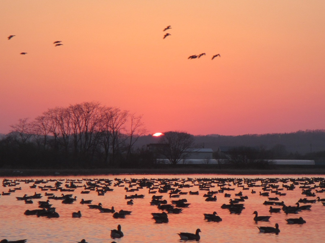 Miyajimanuma-美呗市必去景点
