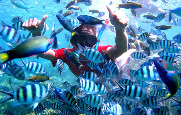 The Happinezz Tours Karimunjawa-卡里蒙加瓦必去景点