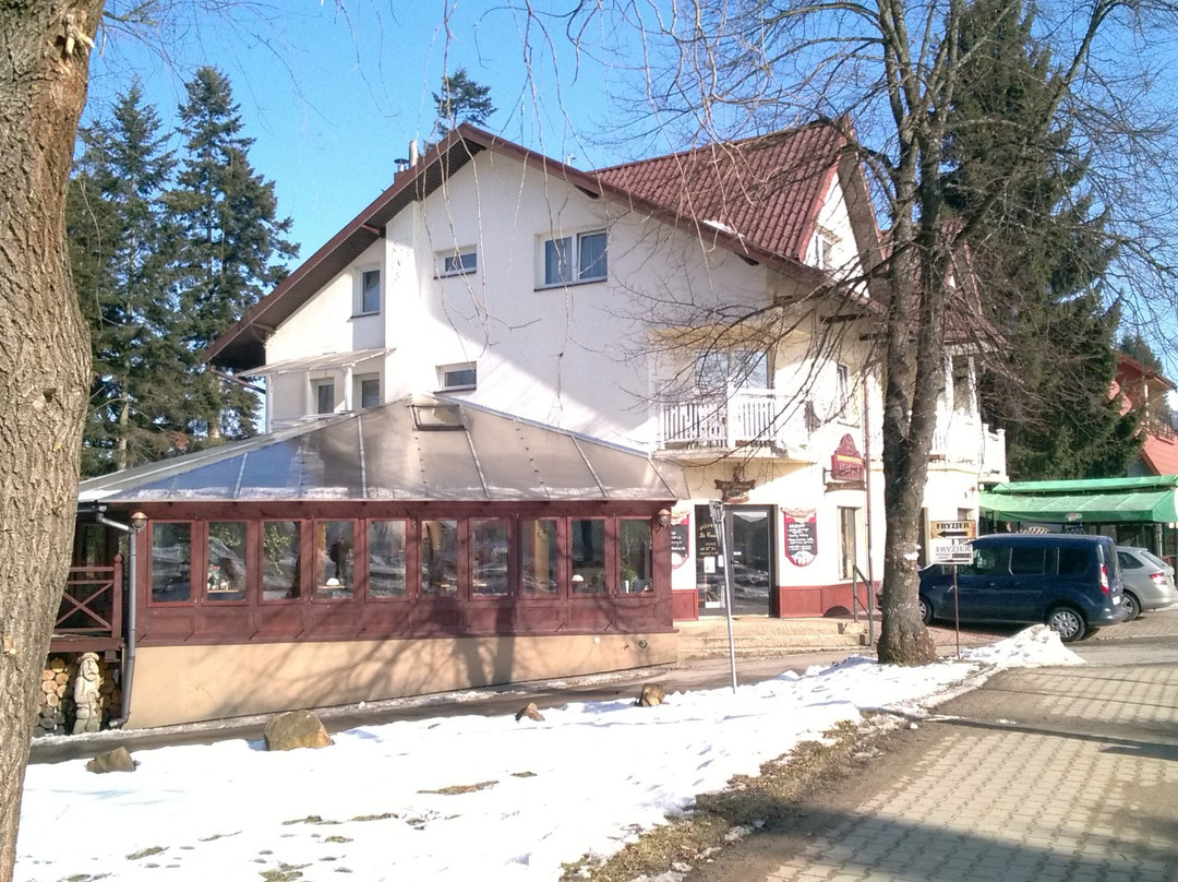 Polanczyk酒店住宿-Korona Pension