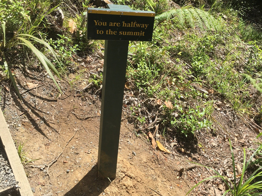 Waterworks Walk-Ngaruawahia必去景点