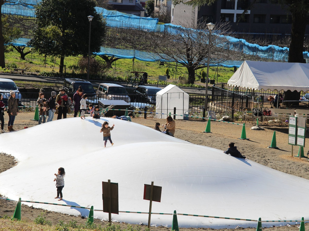 Radiant Flower Hill Park-二宫町必去景点