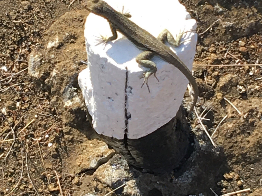 Galapagos Real Voyage-皮钦查省 圣安东尼奥镇必去景点