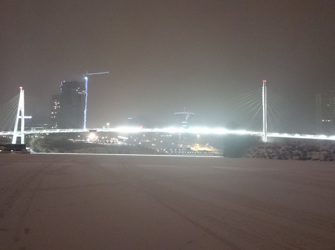Pedestrian Bridge Pavshinskaya Poima景点图片