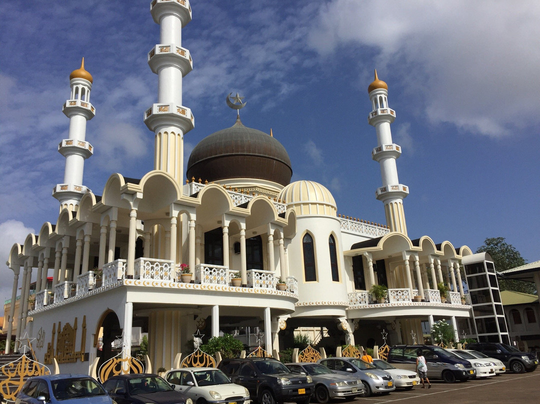 Suriname City Mosque景点图片